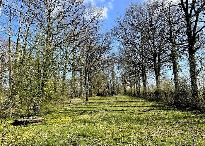 Maison Spacieuse, 16 Personnes, Jardin Villa Les Aires
